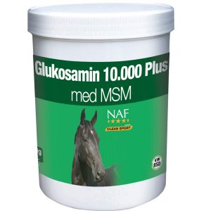 Glukosamin 10.000 Plus